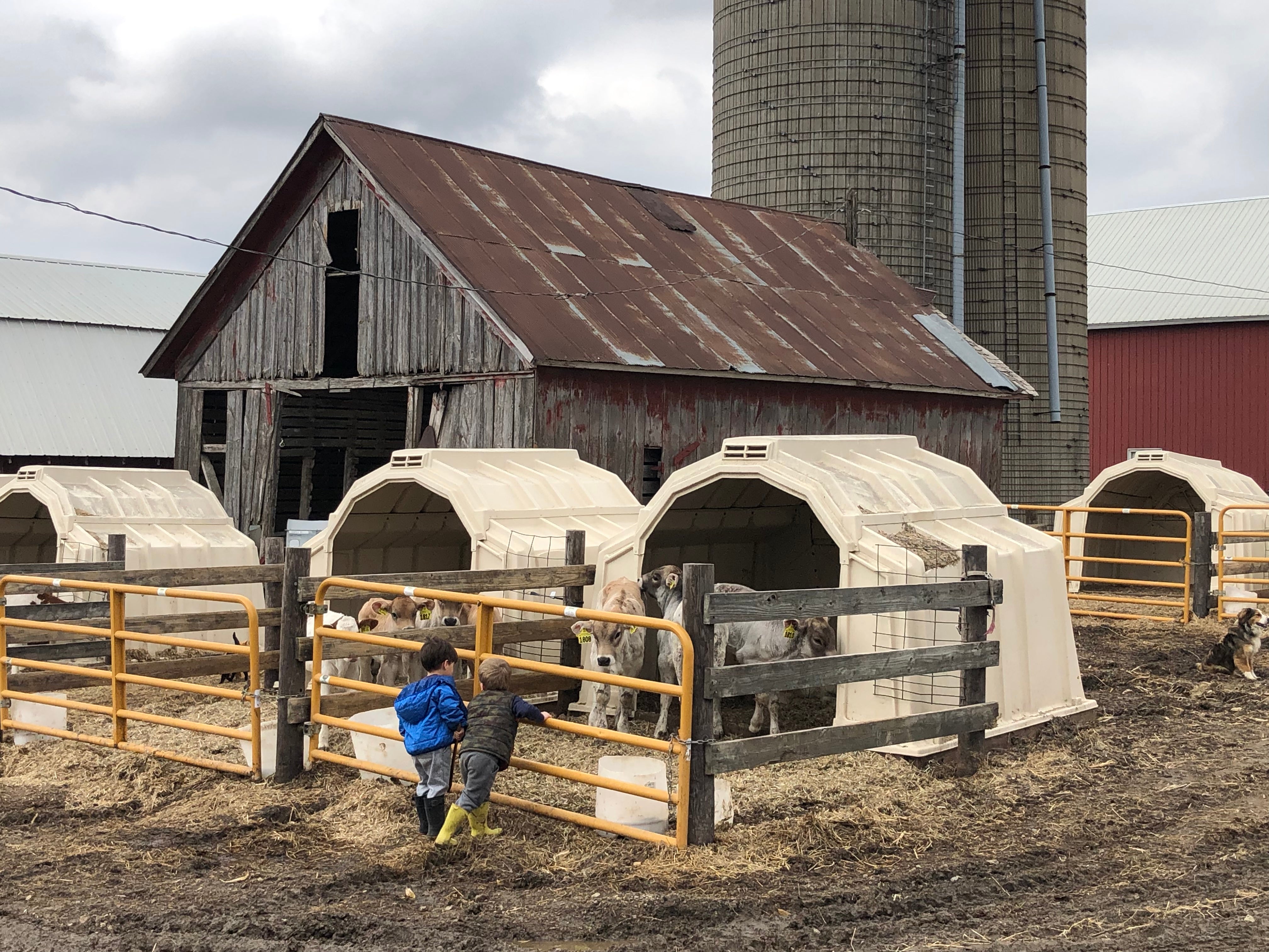 An Earth Day Lesson from a Family Farmer