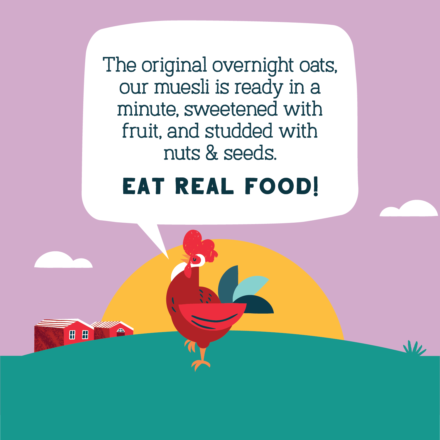 Wild & Free Blueberry Chia Muesli, 12oz