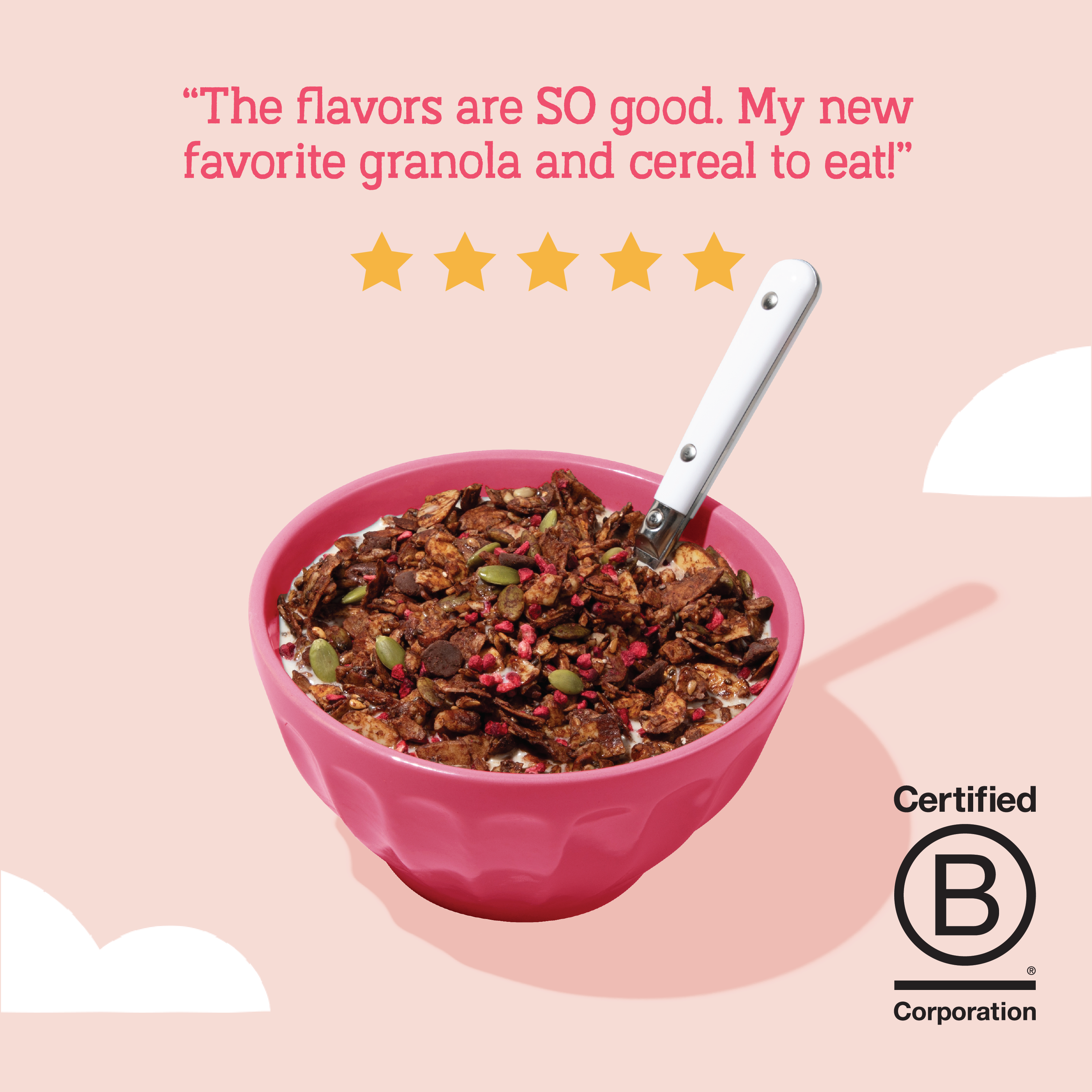 Day Dream Chocolate Raspberry Grain-Free Granola, 20oz