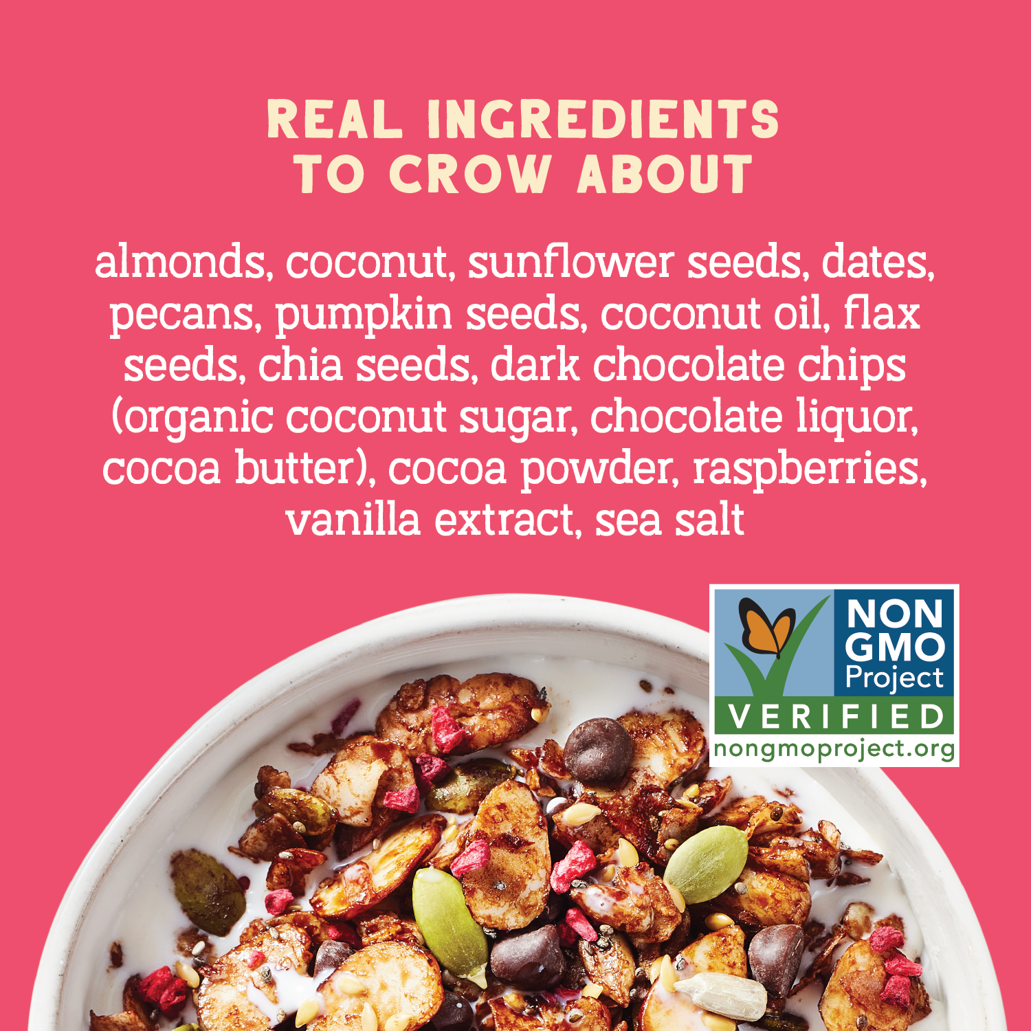 Day Dream Chocolate Raspberry Grain-Free Granola, 20oz