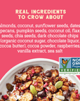 Day Dream Chocolate Raspberry Grain-Free Granola, 20oz