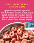Super Fruity Oat Protein Cereal