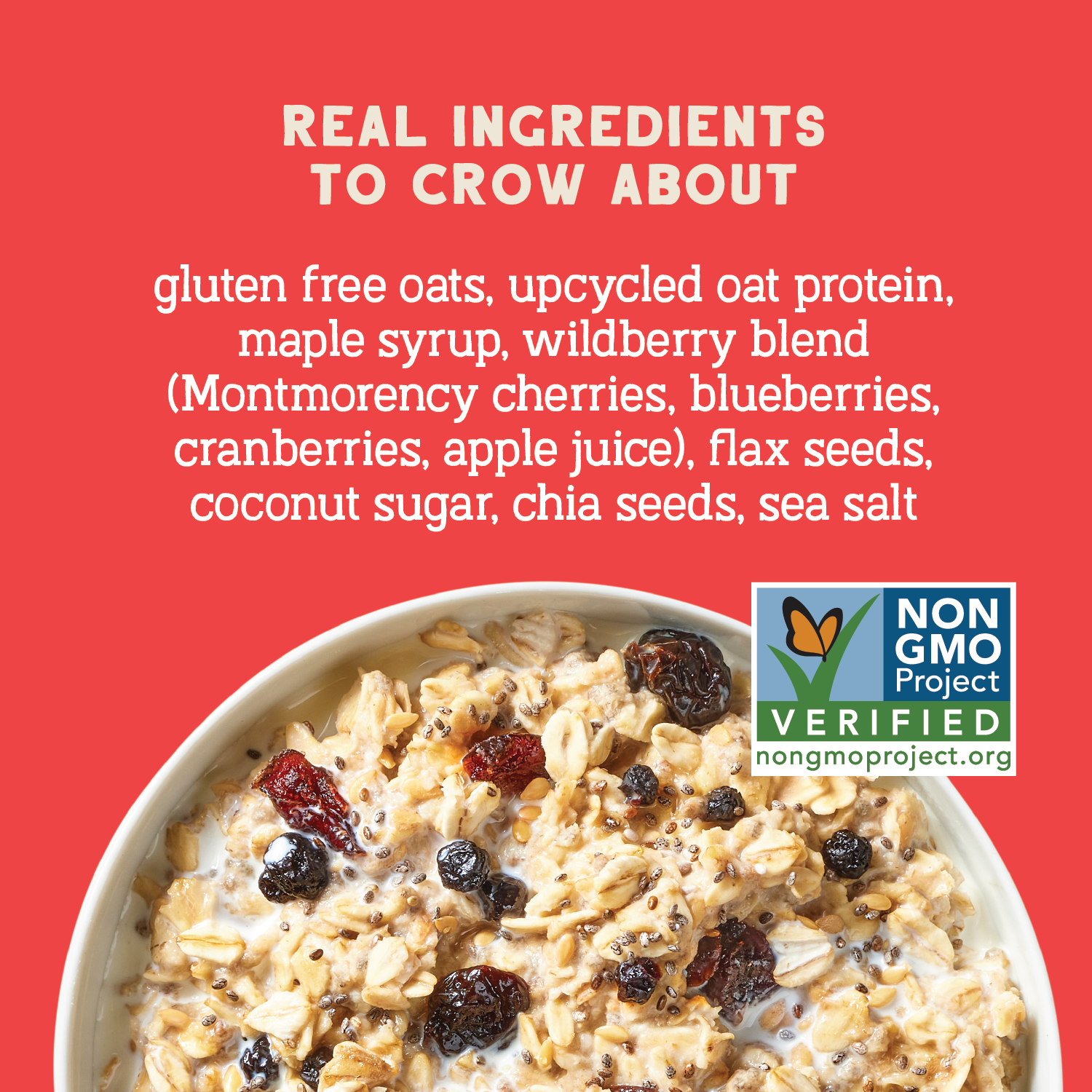 Wildberry Protein Oats, 32oz