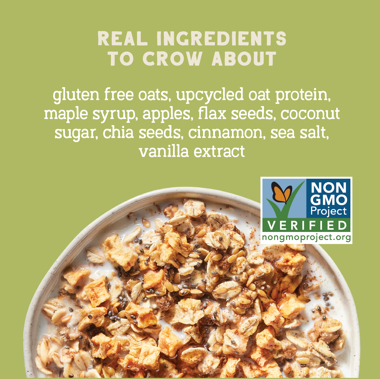 Apple Cinnamon Protein Oats, 32oz