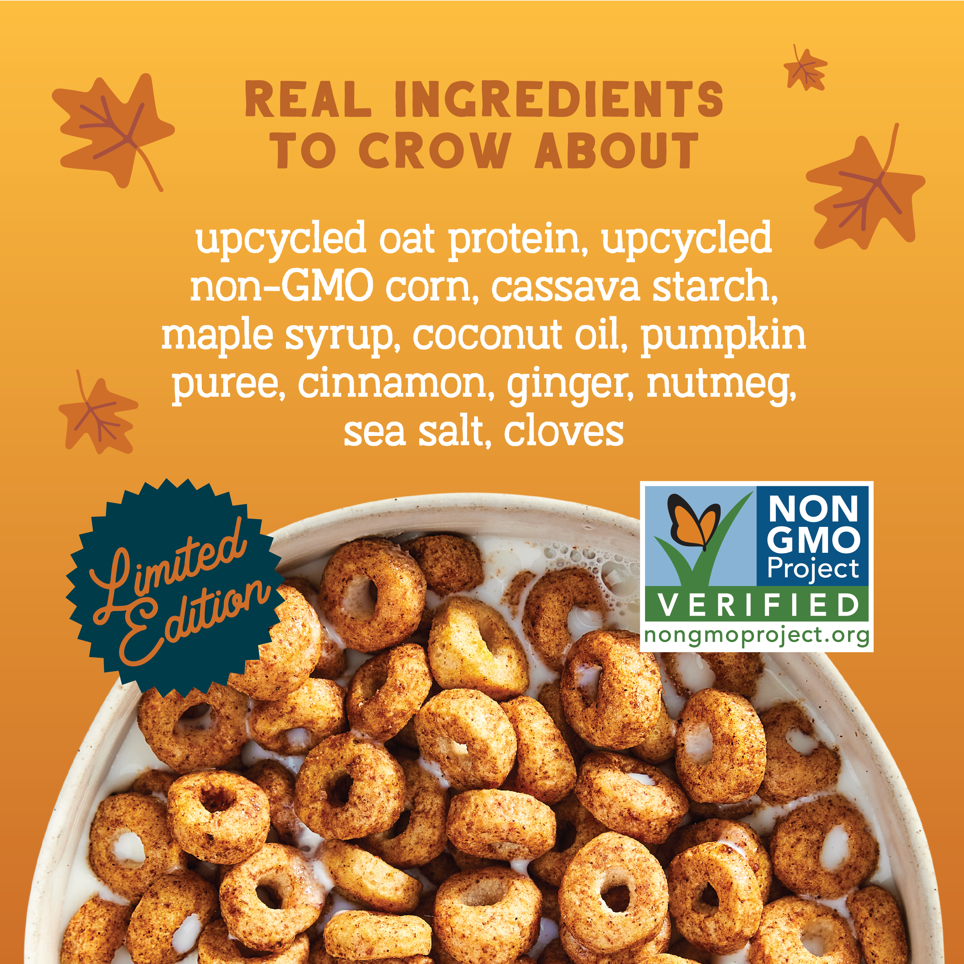 Real Pumpkin Spice Oat Protein Cereal