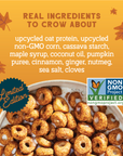 Real Pumpkin Spice Oat Protein Cereal