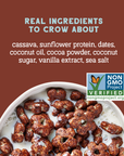 Real Cocoa Sunflower Cereal, Eco-Pack 16oz