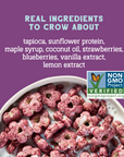 Real Berry Sunflower Cereal