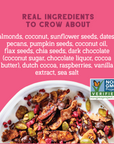 Day Dream Chocolate Raspberry Grain-Free Granola, 20oz