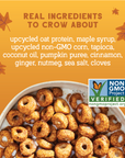 Real Pumpkin Spice Oat Protein Cereal