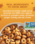 Real Pumpkin Spice Oat Protein Cereal
