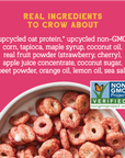 Super Fruity Oat Protein Cereal
