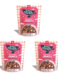 Day Dream Chocolate Raspberry Grain-Free Granola, 8oz