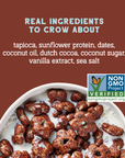 Real Cocoa Sunflower Cereal